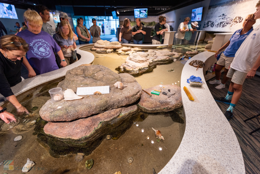 NC Aquarium Fort Fisher