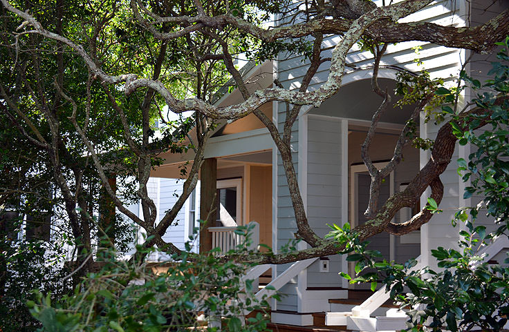 The entrance at Bald Head Island Conservancy