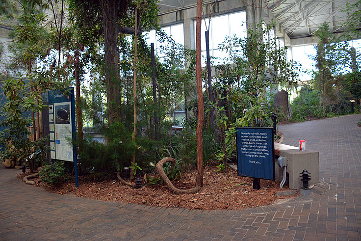 N.C. Aquarium at Fort Fisher exhibits