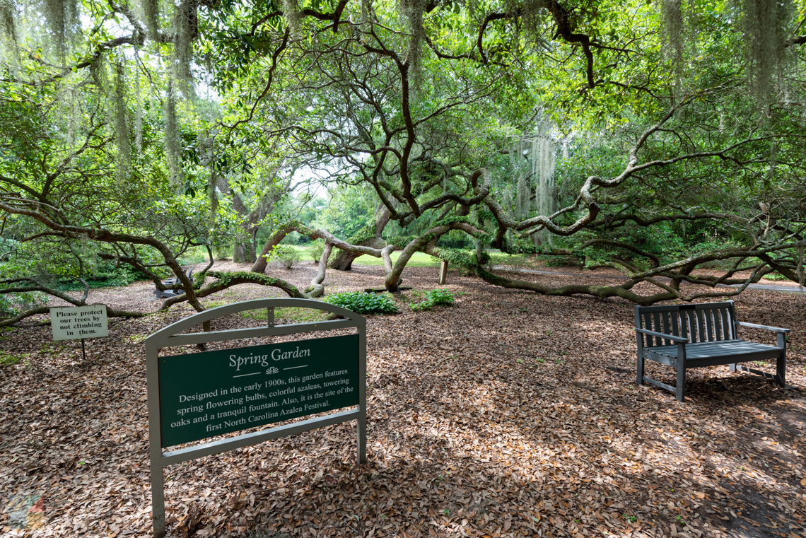 Airlie Gardens near Wrightsville Beach, NC