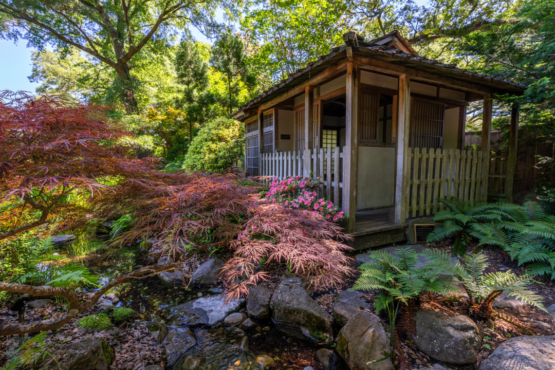 New Hanover County Arboretum