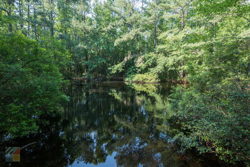 Bluethenthal Wildflower Preserve