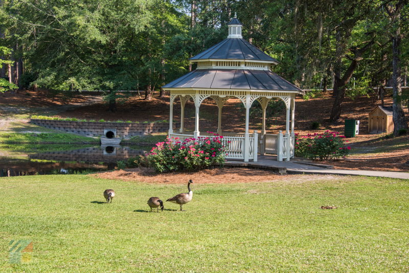 Long Leaf Park