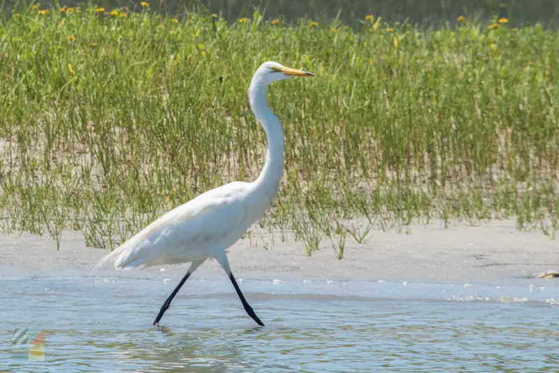 Rachel Carson Estuarine Reserve