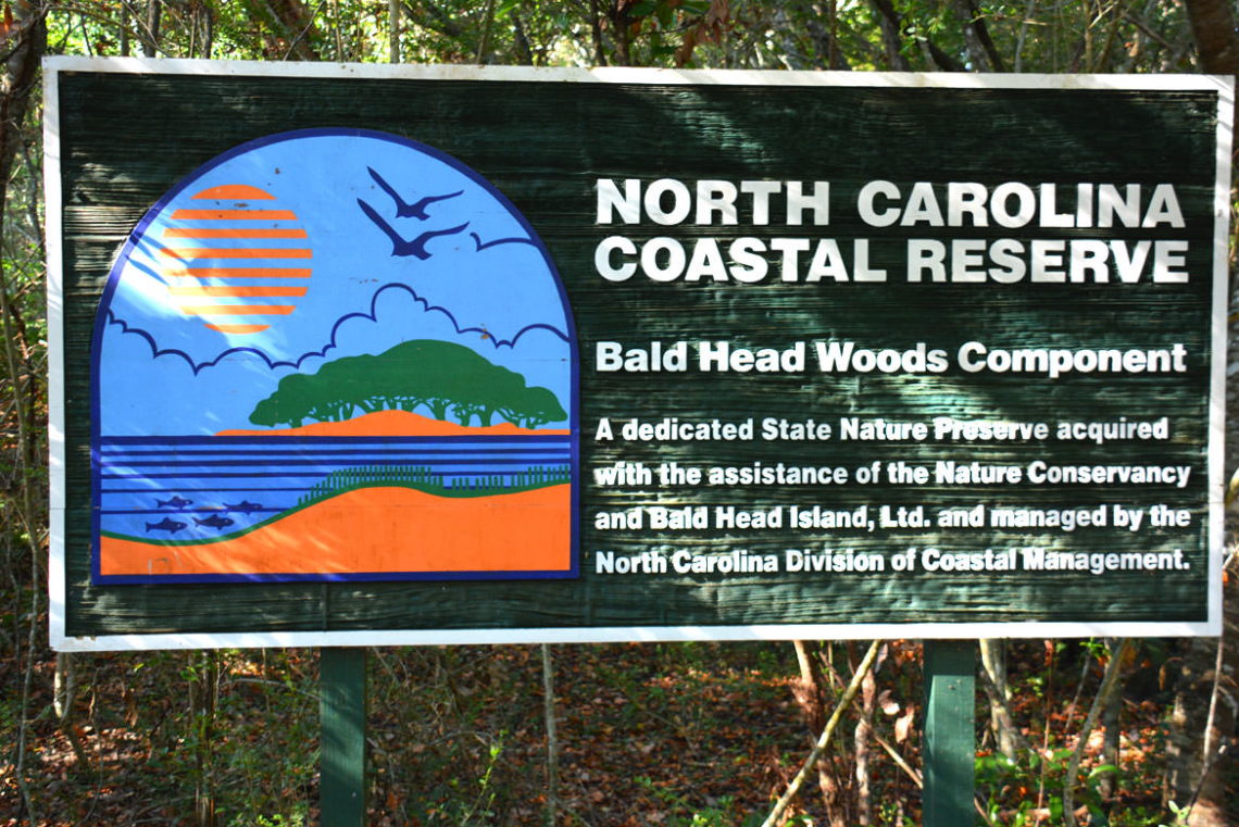Bald Head Woods