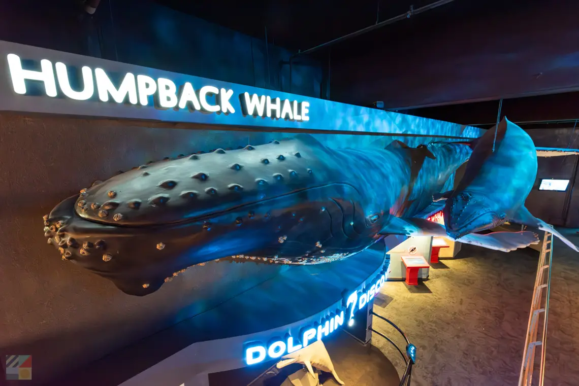 NC Aquarium at Fort Fisher
