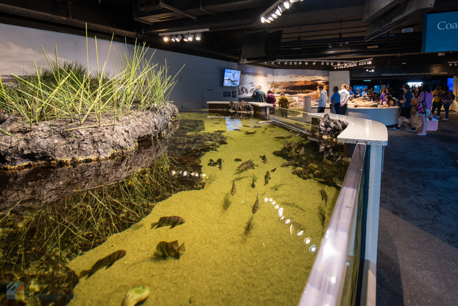 NC Aquarium at Fort Fisher