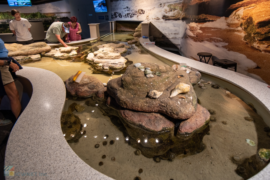 NC Aquarium at Fort Fisher