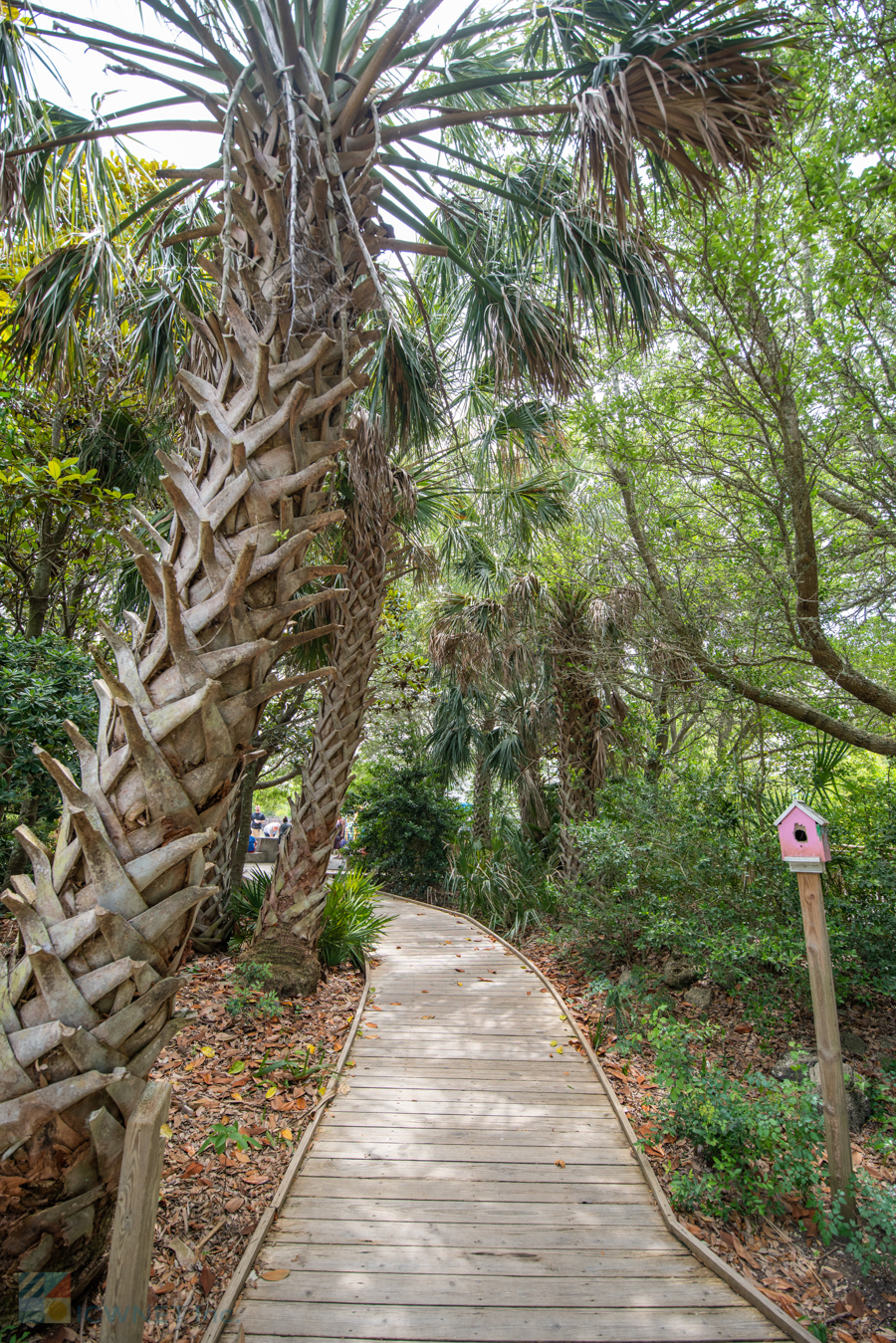 NC Aquarium at Fort Fisher