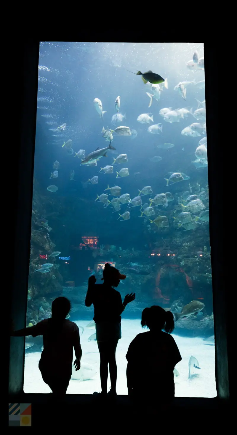 NC Aquarium at Fort Fisher
