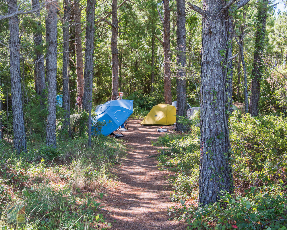 Cape Lookout National Seashore