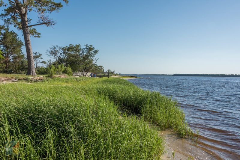 Carolina Beach State Park