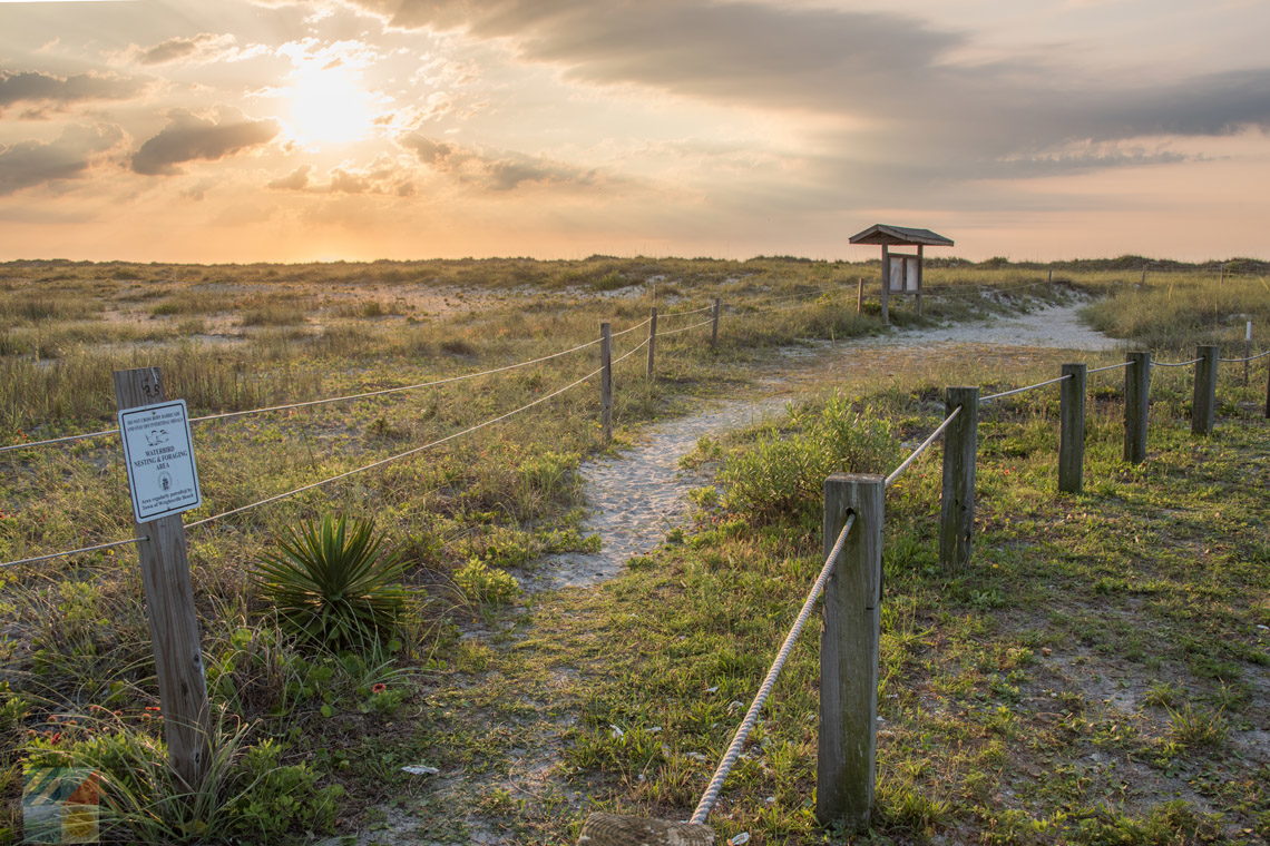 Shell Island - WrightsvilleBeach.com