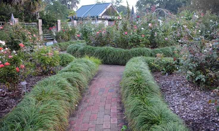 New Hanover County Arboretum in Wilmington, NC