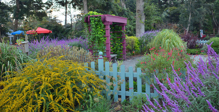 Colorful flowers atNew Hanover County Arboretum in Wilmington, NC