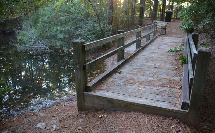 Small bridge and bench at the Herbert Bluethenthal Memorial Wildflower Preserve
