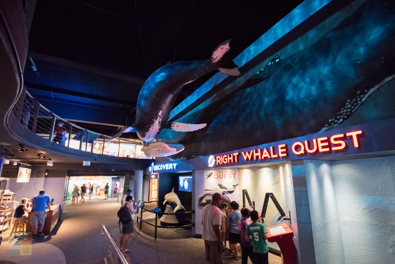Museums Near Wrightsville Beach Wrightsvillebeach Nc Aquarium At Fort Fisher
