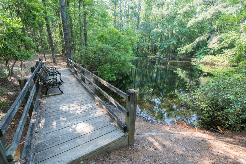 Bluethenthal Wildflower Preserve at UNCW