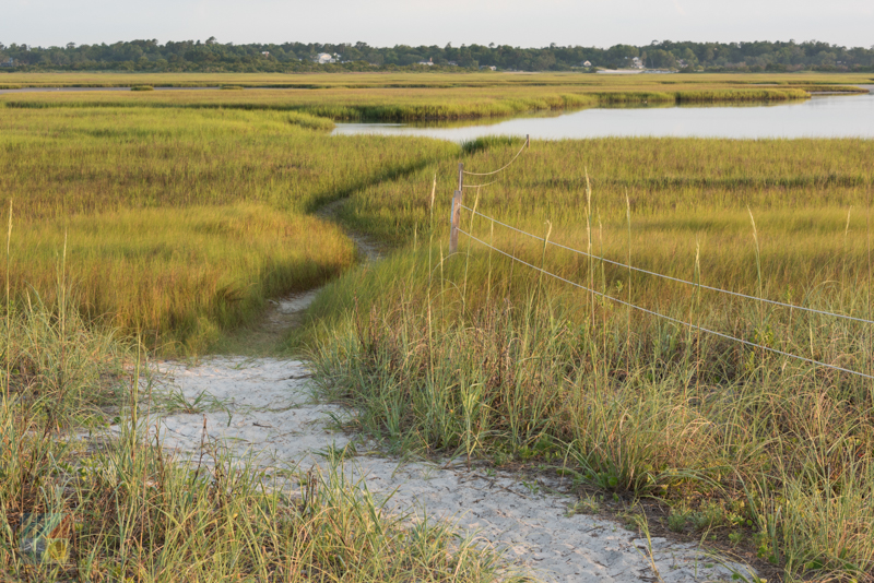 Shell Island on the North end of Wrightsville Beach