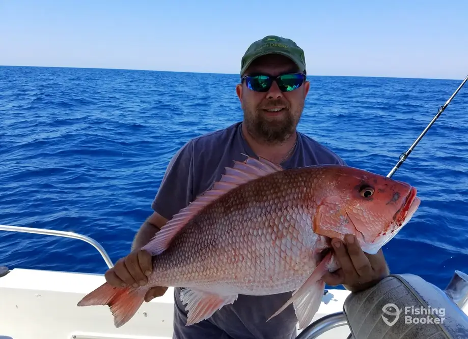 FishingBooker: Vermilion Snapper vs. Red Snapper