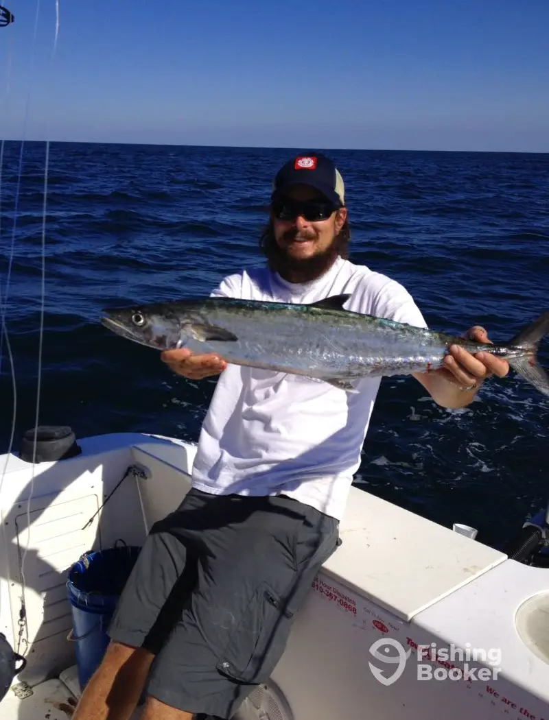 charter image 3