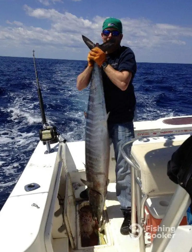 charter image 4