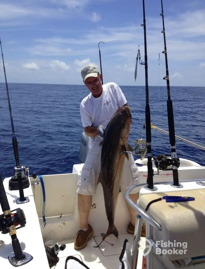 charter image 6