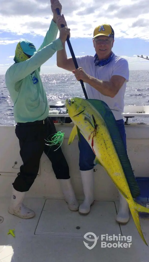 charter image 2