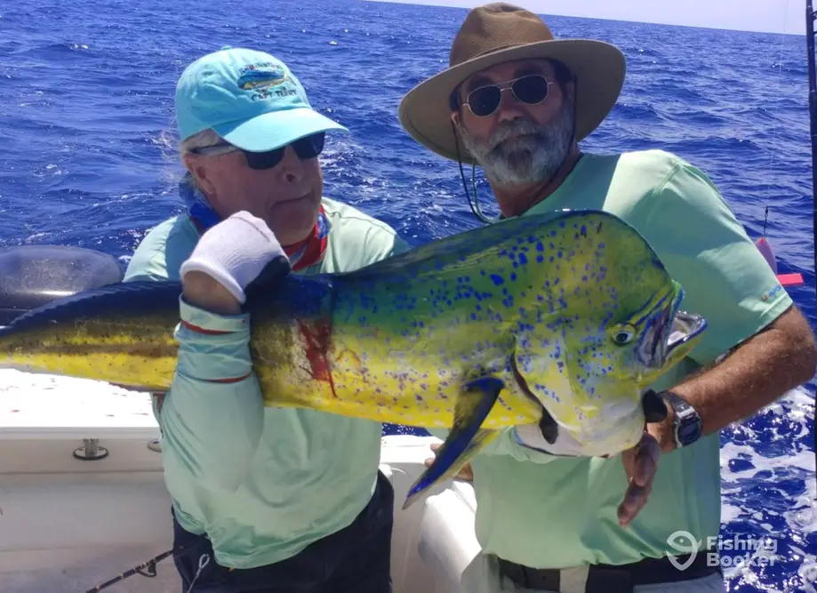 charter image 6