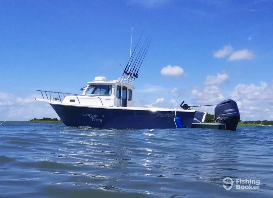 Katfish Kayak And Fishing Adventures, Llc