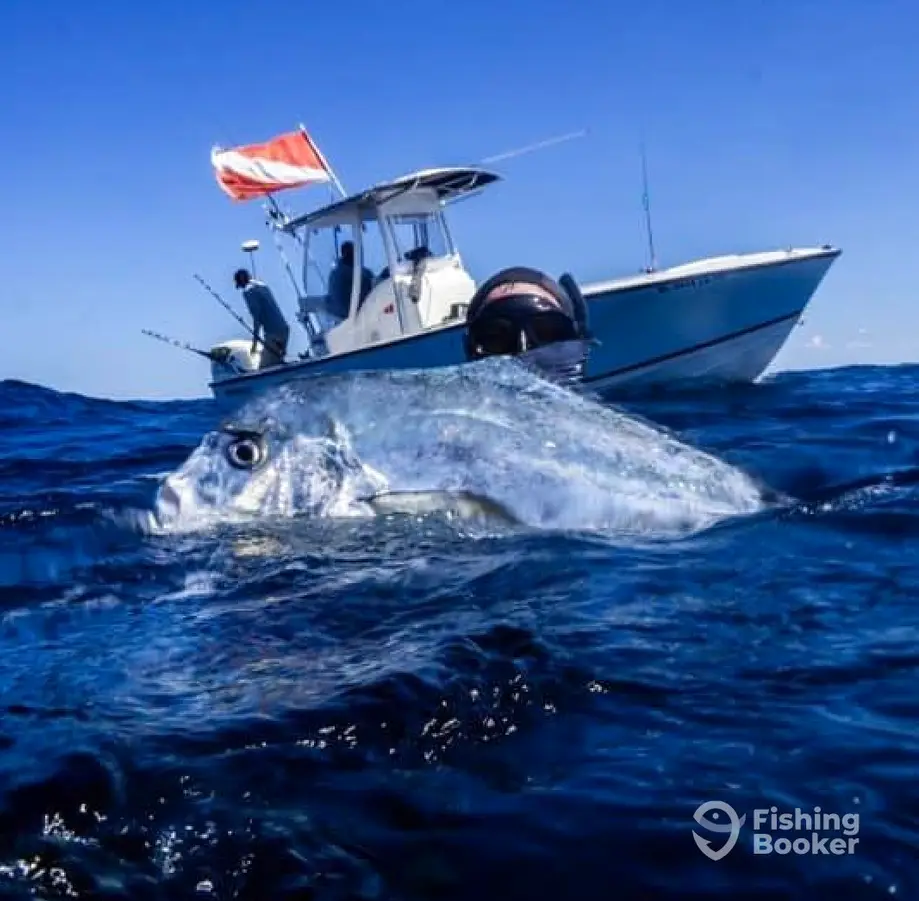 Topsail Island Fish & Dive Adventures charter image 2