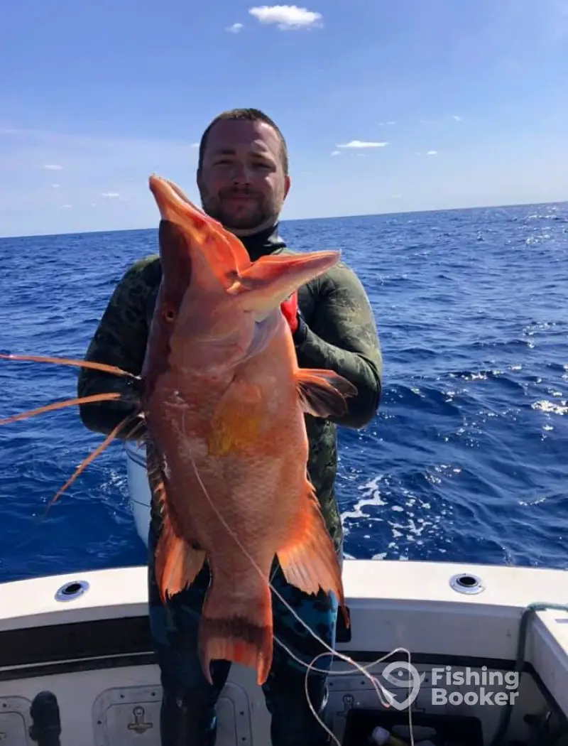 Topsail Island Fish & Dive Adventures charter image 6