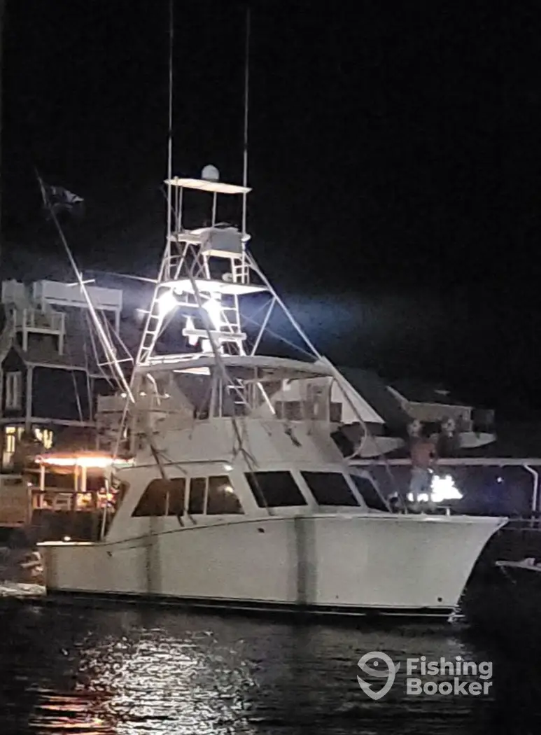 Fish Whistle Chartering