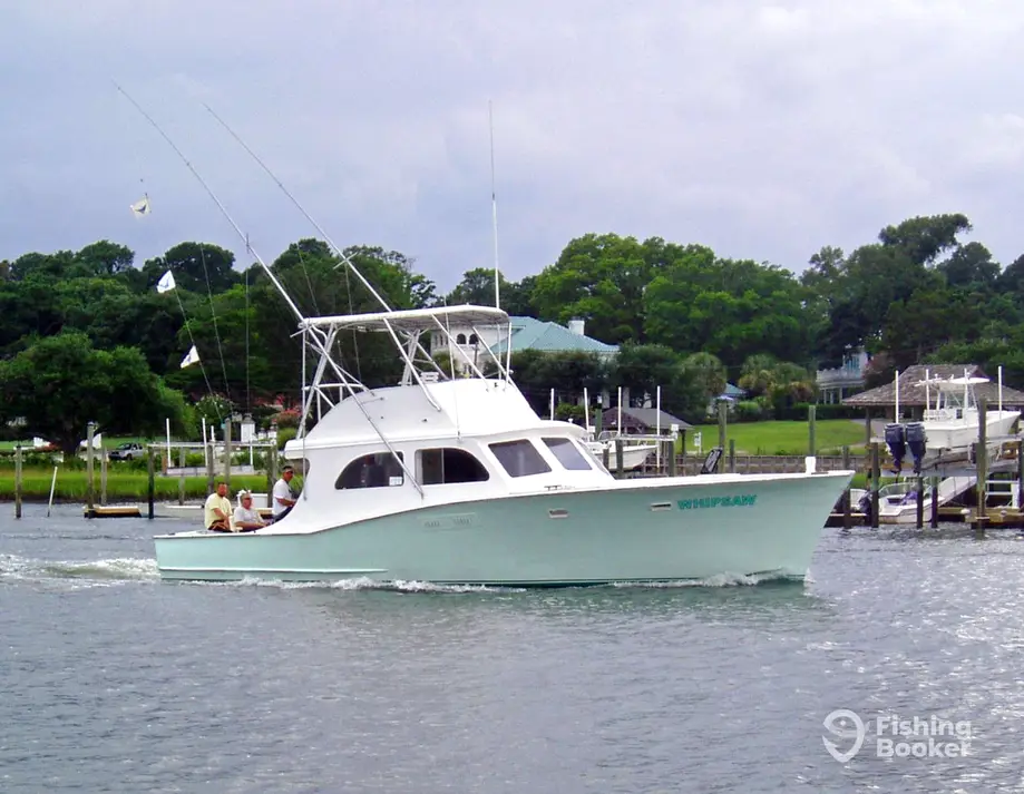 Whipsaw Charters