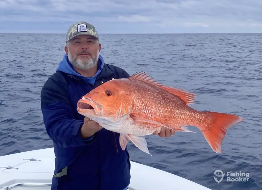 FishingBooker: Vermilion Snapper vs. Red Snapper