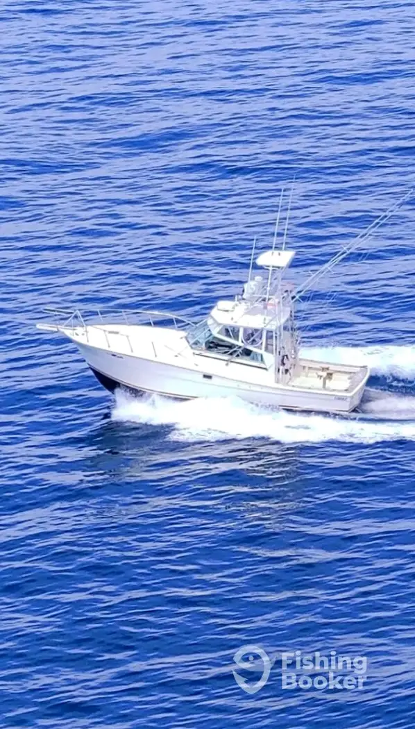 Musicman Charters Sportfishing