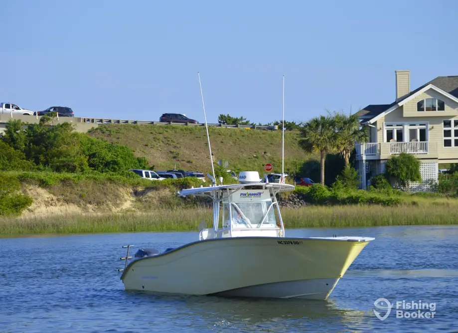 Fin-Addict Fishing Charters charter image 3