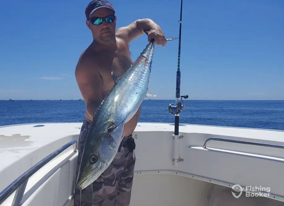 Fin-Addict Fishing Charters charter image 5