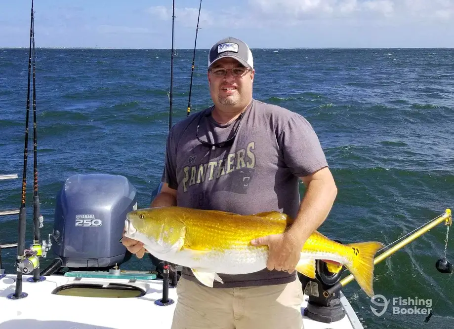 Fin-Addict Fishing Charters charter image 6