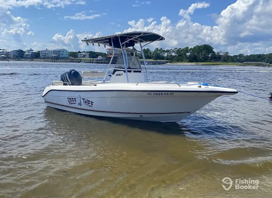 Reef Thief Fishing Charters