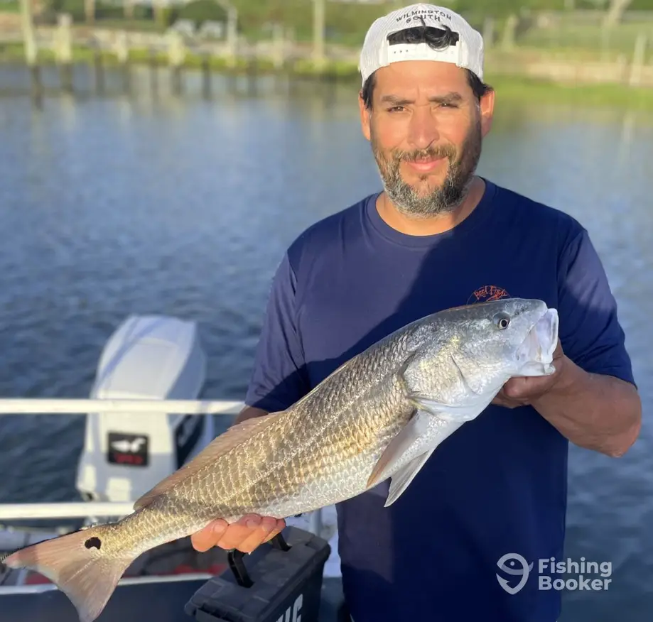 Carolina Charters