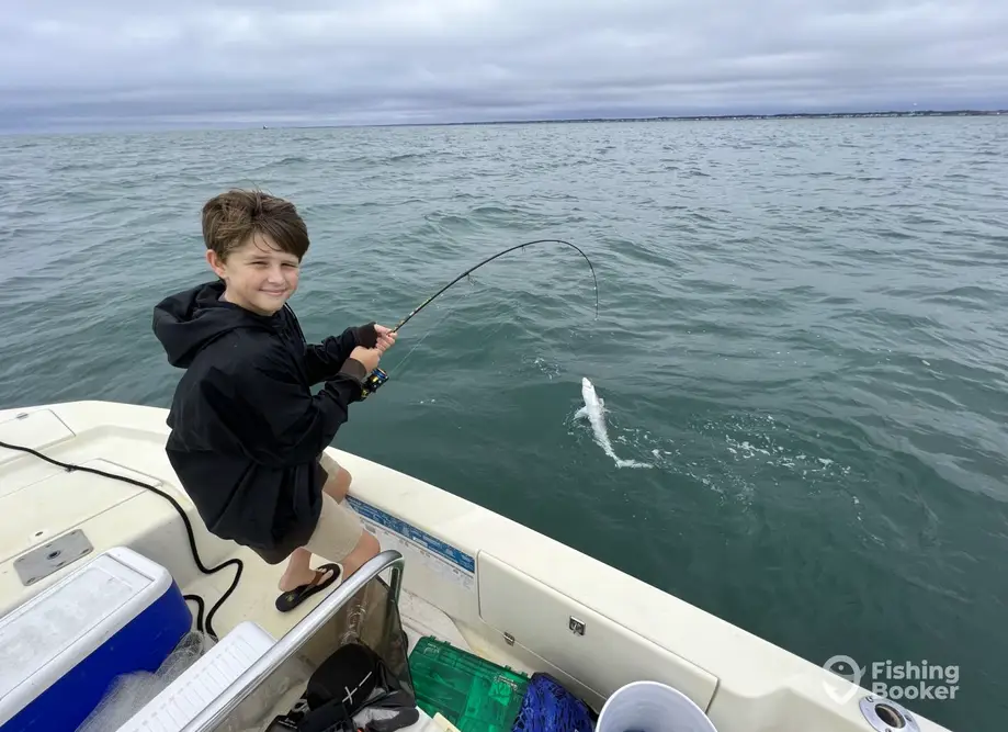 Little Secret Charters