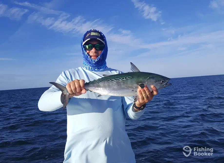 charter image 4