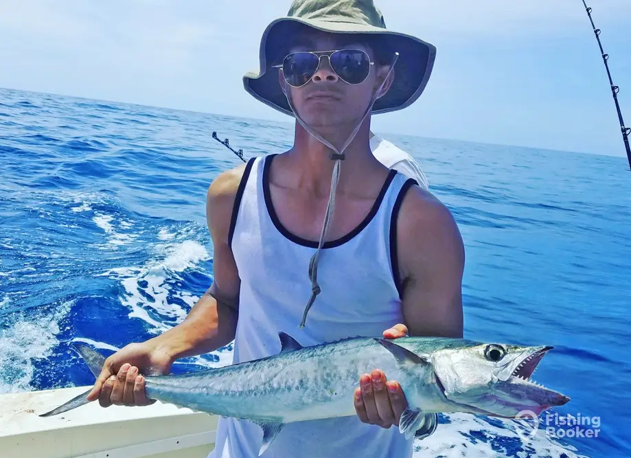 charter image 6
