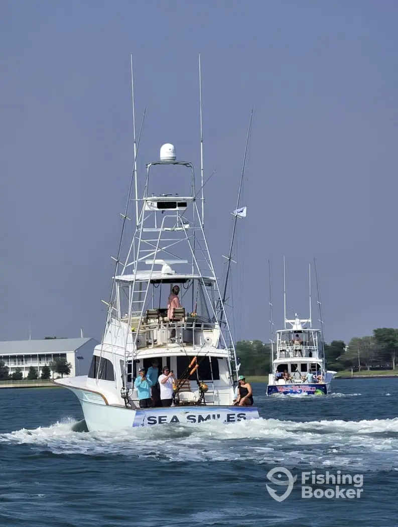 Sea Smiles Charters charter image 4