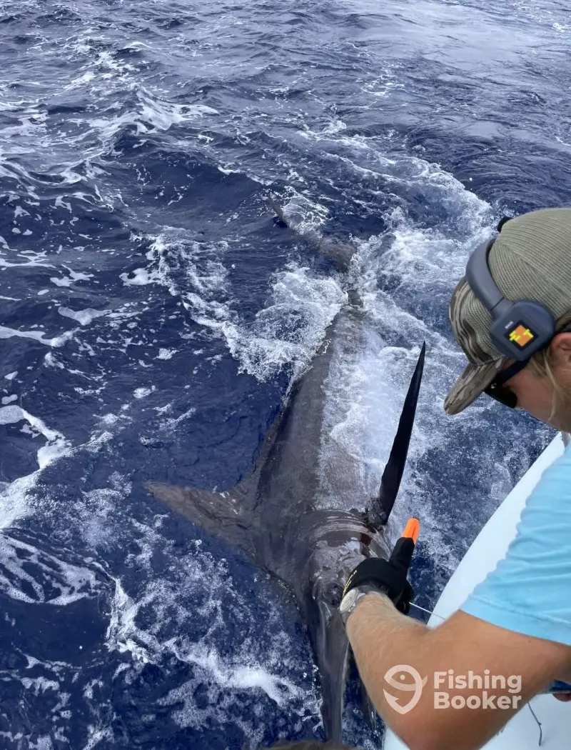 Sea Smiles Charters charter image 5