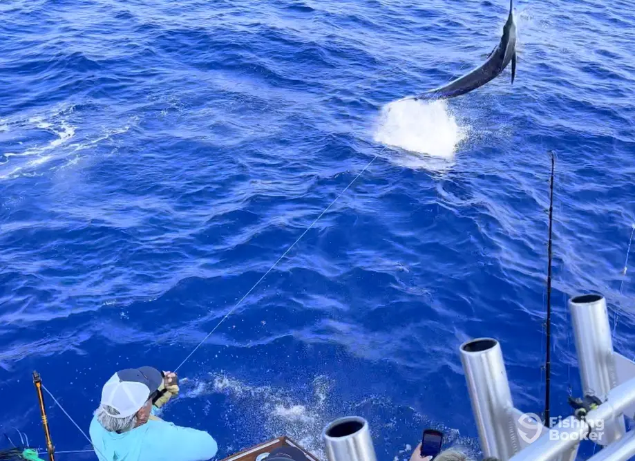 Sea Smiles Charters charter image 6