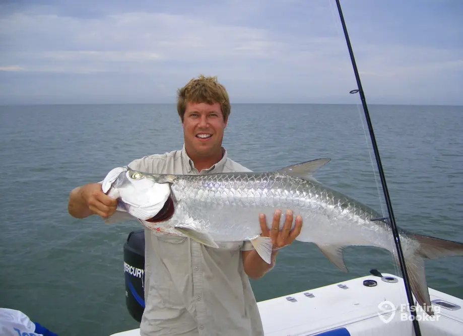 charter image 2