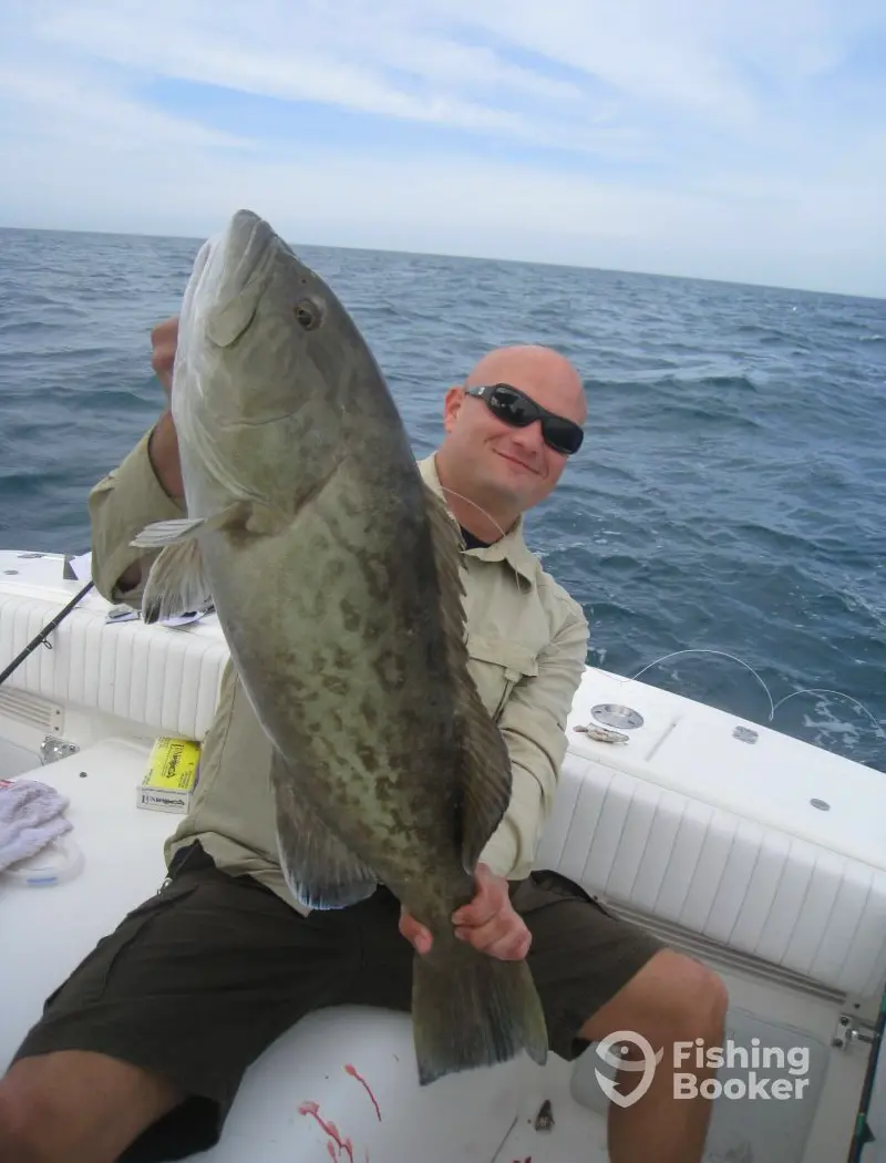 charter image 4