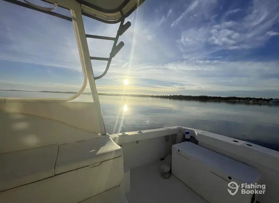 Sea Bear Charters charter image 2